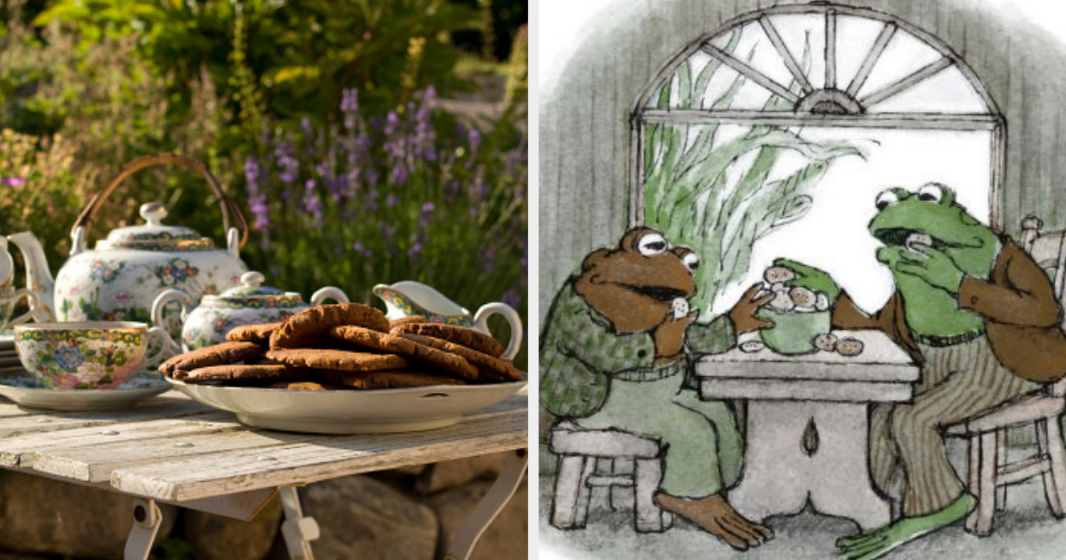 Am I Frog Or Toad? Quiz