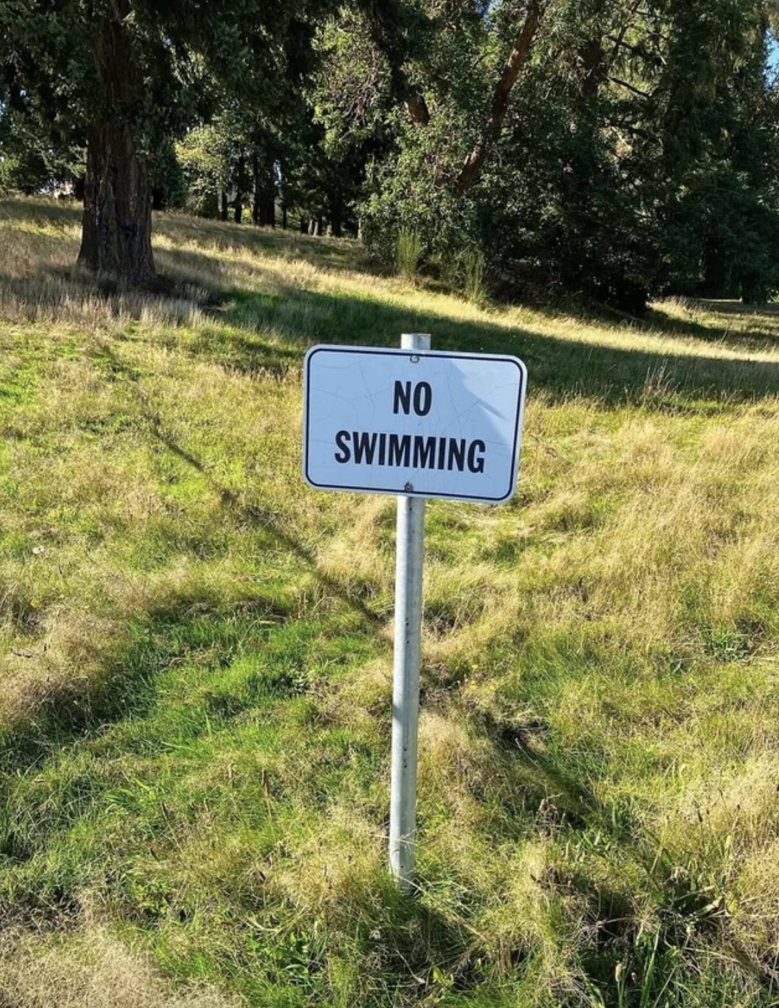 A sign installed on a pole in the ground says &quot;no swimming,&quot; but it is surrounded by grass with no water in sight