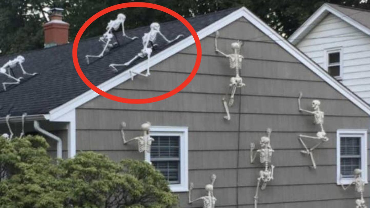 Taylor Swift-inspired Halloween decor goes viral