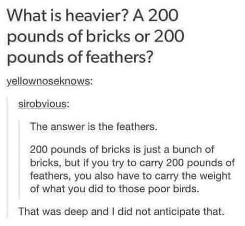 &quot;What is heavier, 200 pounds of bricks or 200 pounds of feathers?&quot; &quot;The feathers: 200 pounds of bricks is just a bunch of bricks, but if you try to carry 200 pounds of feathers, you also have to carry the weight of what you did to those poor birds&quot;