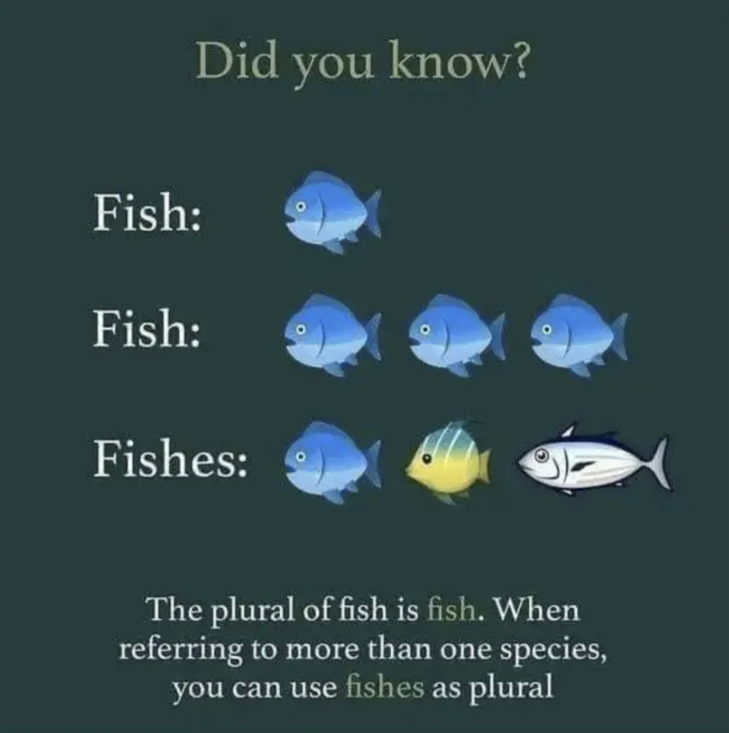 A &quot;Did you know?&quot; chart showing illustrations of fish, from one &quot;fish&quot; to plural &quot;fish&quot; (same kind) or &quot;fishes&quot; (showing three different types): &quot;The plural of fish is fish. When referring to more than one species, you can use fishes as plural&quot;