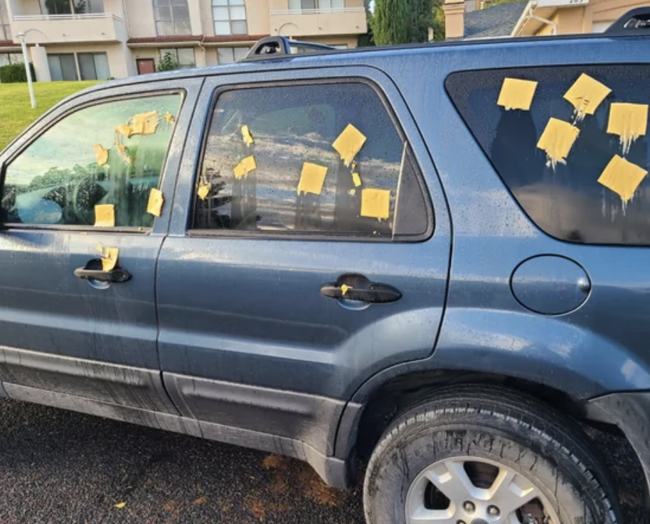 sandwich cheese all over a car