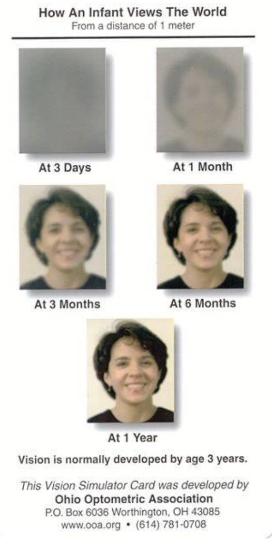 &quot;How an Infant Views the World&quot; chart, showing a small headshot that is blank at 3 days and is much clearer but still blurry at 1 year; &quot;vision is normally developed by age 3&quot;