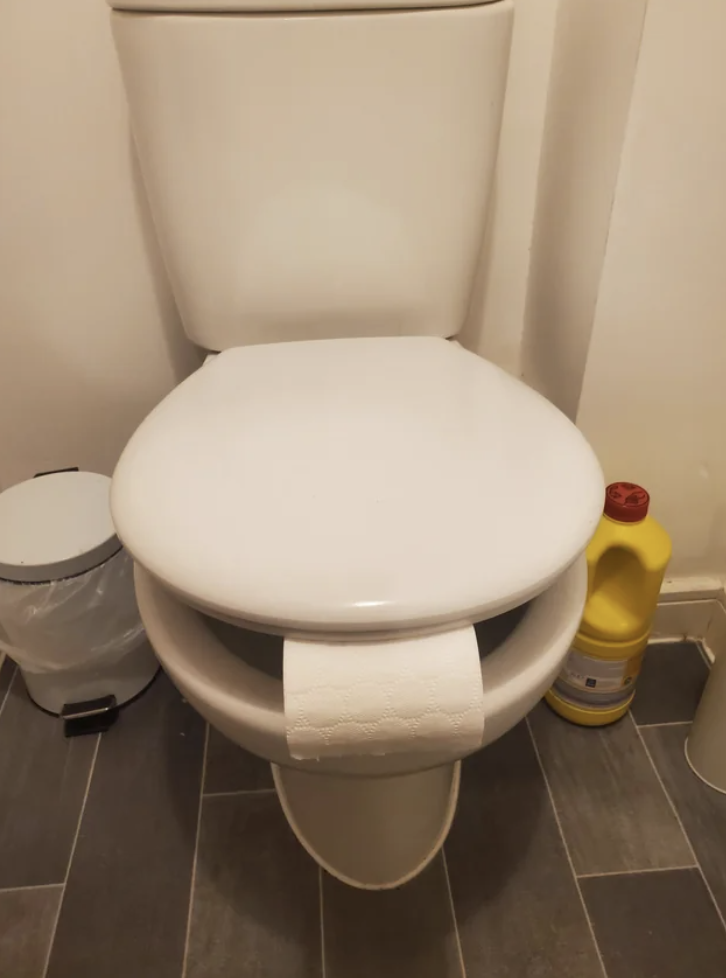 a toilet paper stuck in the toilet seat