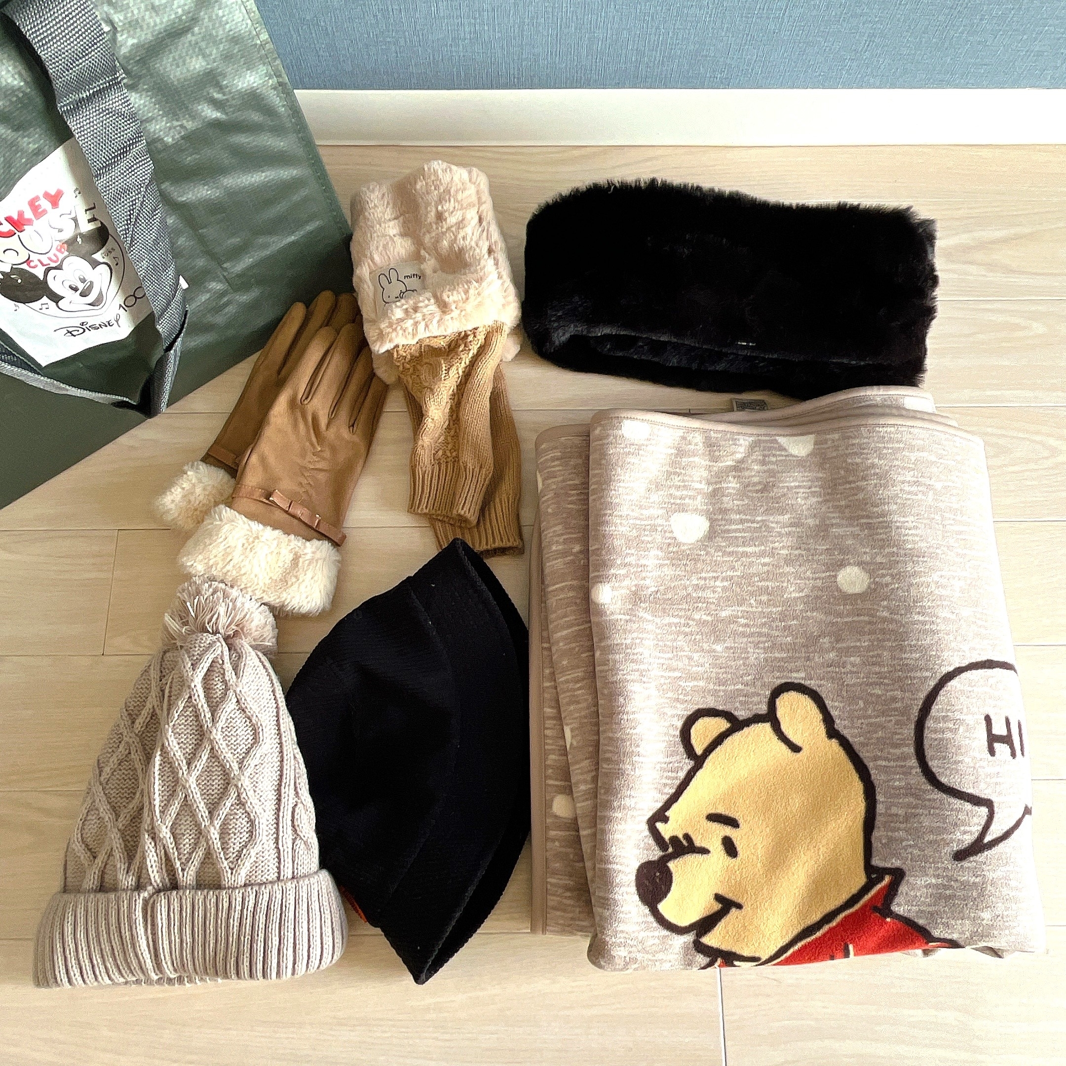 3COINZのオススメのグッズ「【Disney】クリア収納バッグ：Mサイズ」