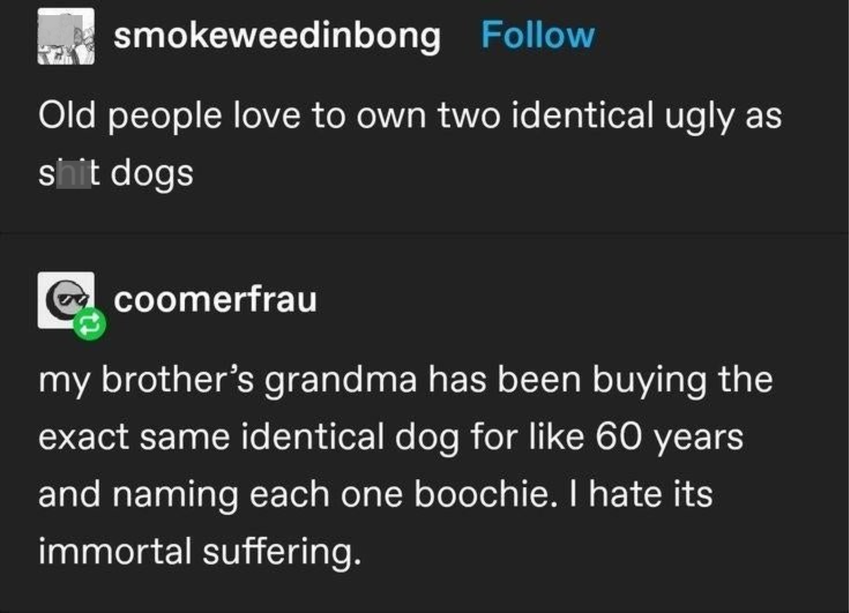 &quot;Old people love to own two identical ugly as shit dogs,&quot; &quot;My brother&#x27;s grandma has been buying the exact same identical dog for like 60 years and naming each one Boochie; I hate its immortal suffering&quot;