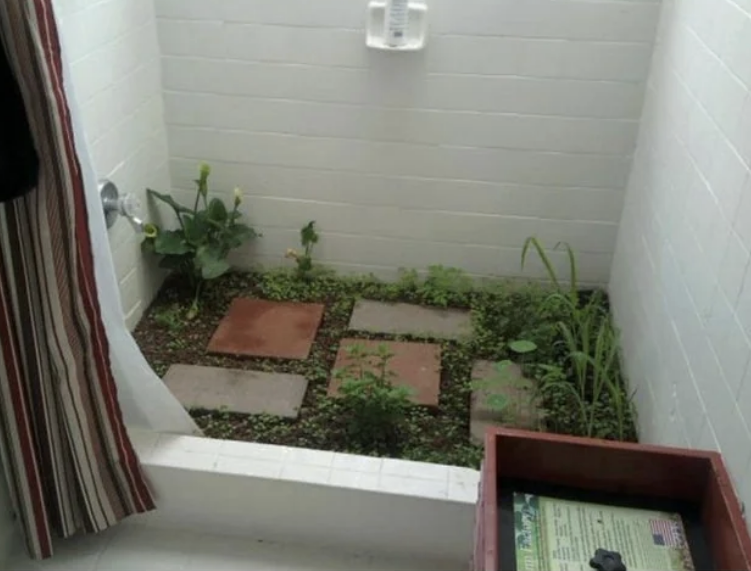 garden inside a bath tub