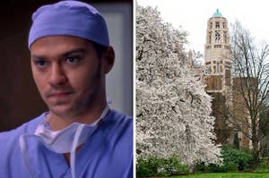 On the left, Jesse Williams wearing scrubs as Jackson Avery on Grey's Anatomy, and on the right, cherry blossoms blooming on the University of Washington campus