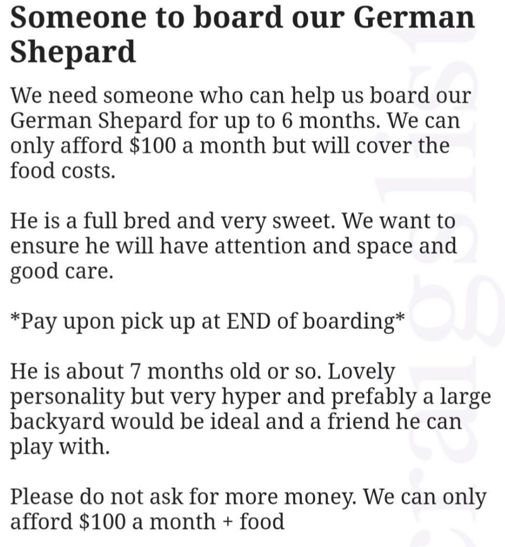 &quot;Someone to board our German Shepard&quot;