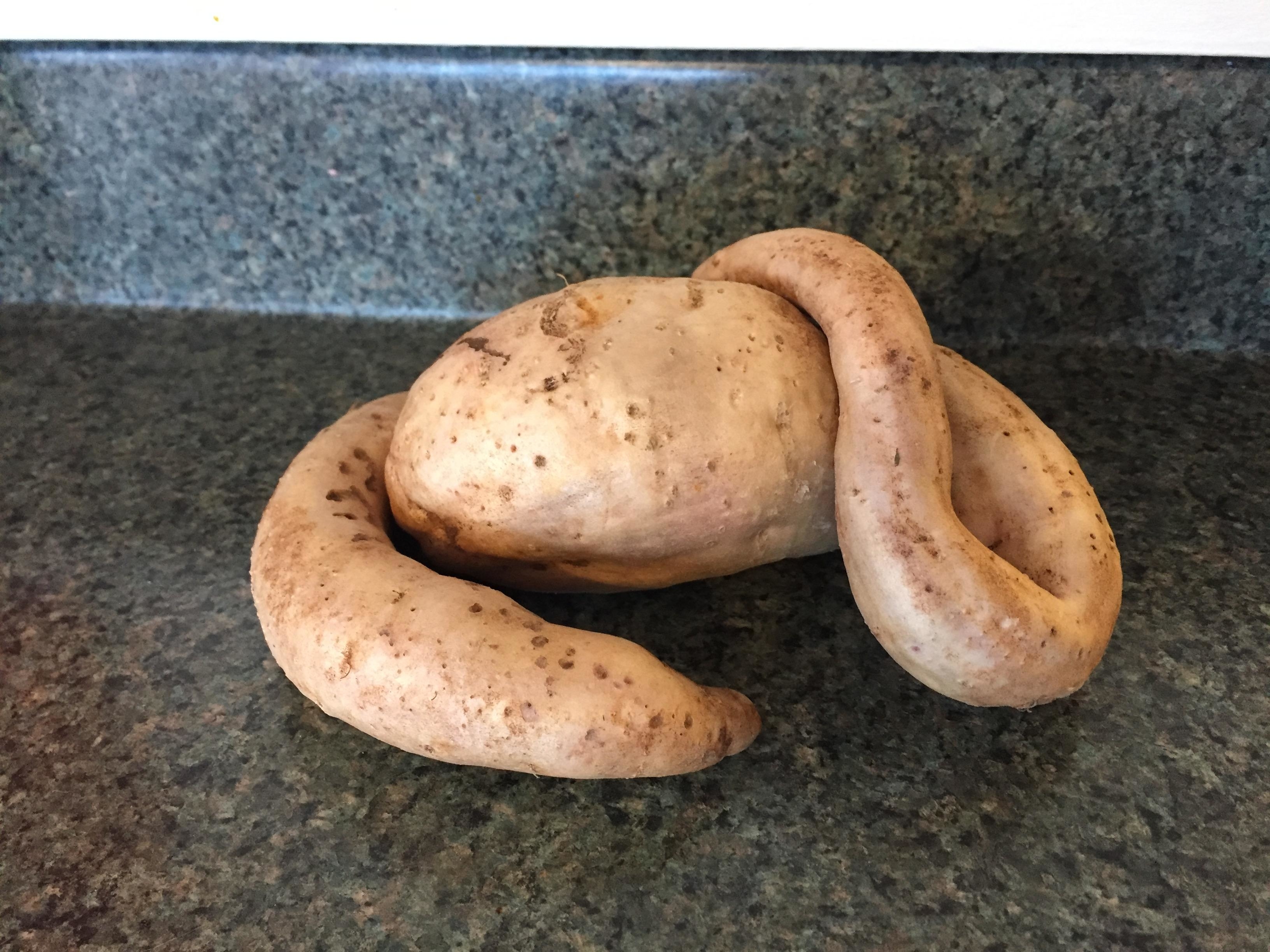 a giant potato