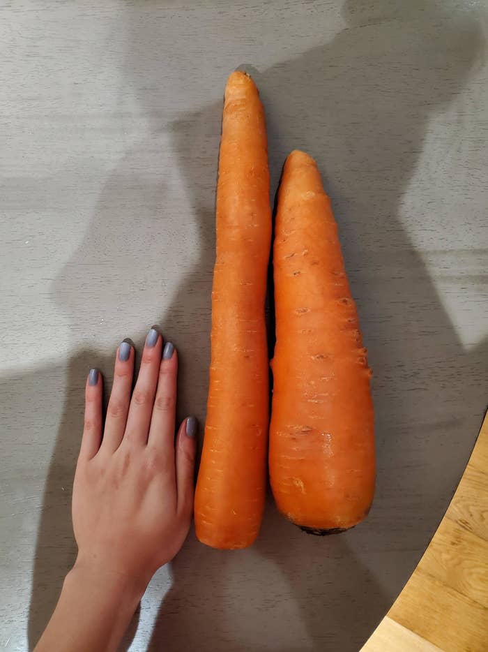 giant carrots