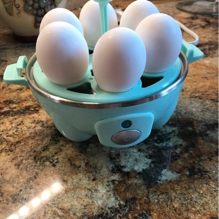 Visland Egg Steamer Practical 4 Eggs Capacity Egg-shaped Simple White Microwave  Egg Boiler for Breakfast 