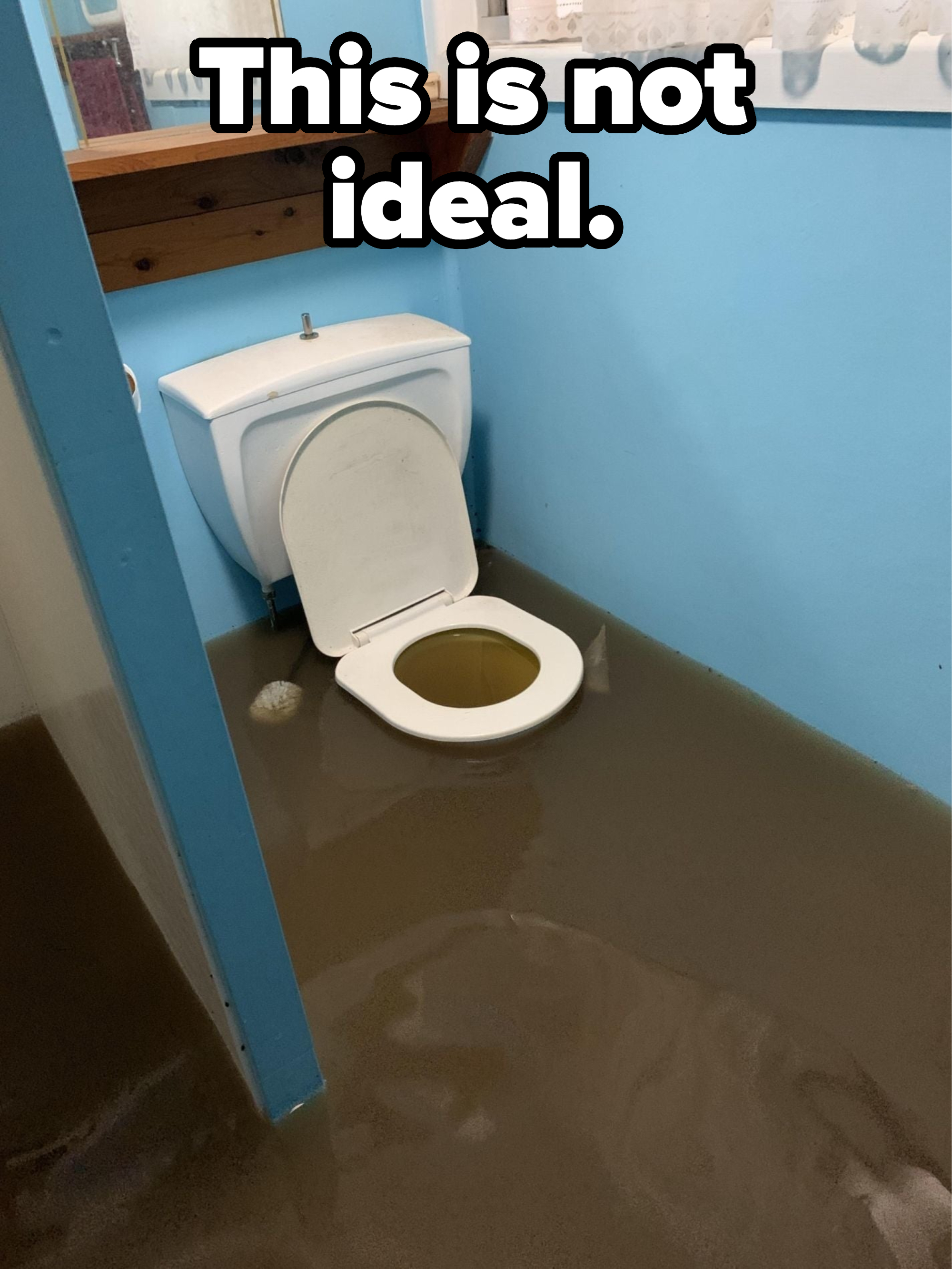 A flooded bathroom with brown water up to the toilet seat