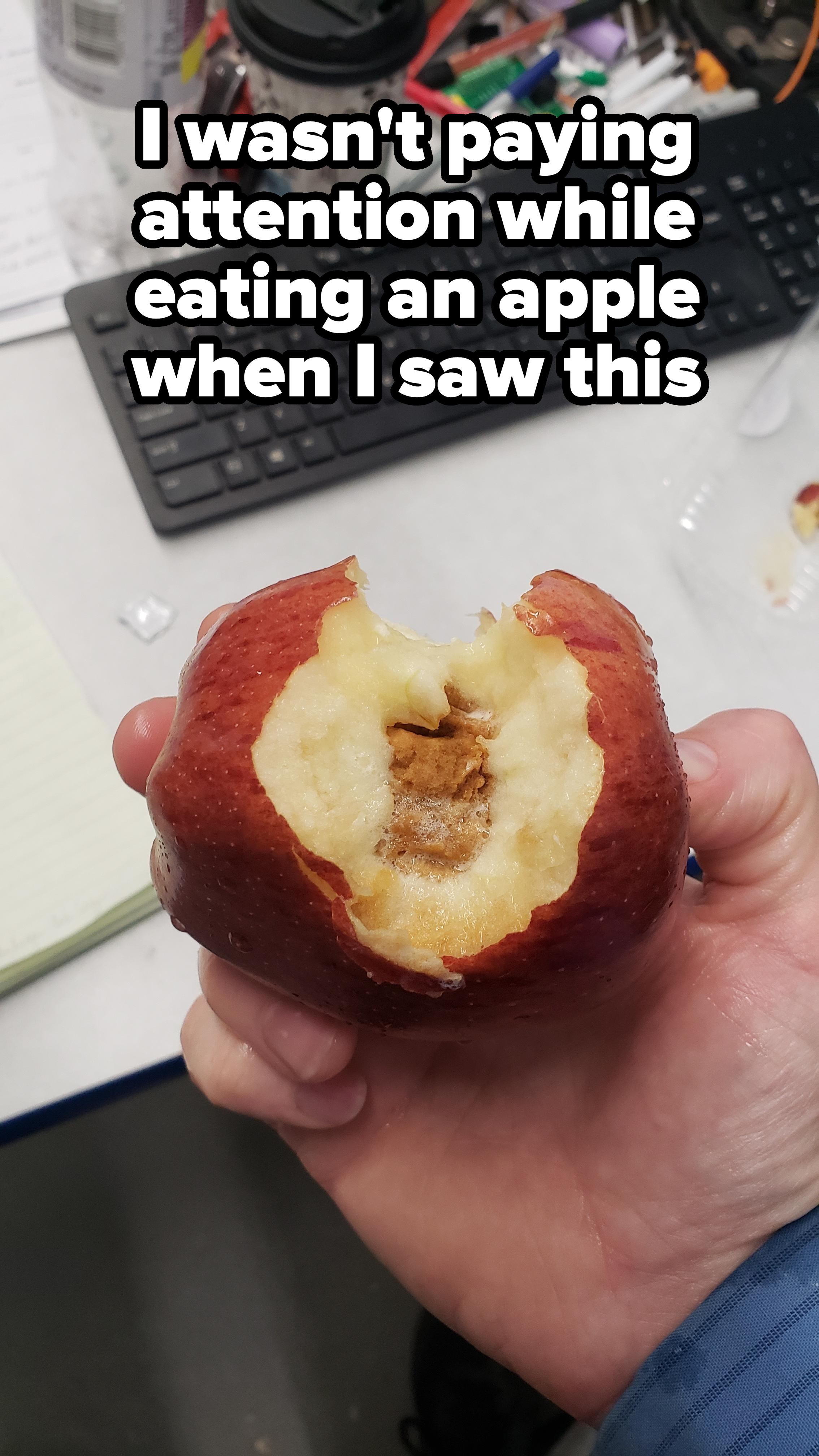 An apple with a rotten center, with caption, &quot;I wasn&#x27;t paying attention while eating an apple when I saw this&quot;