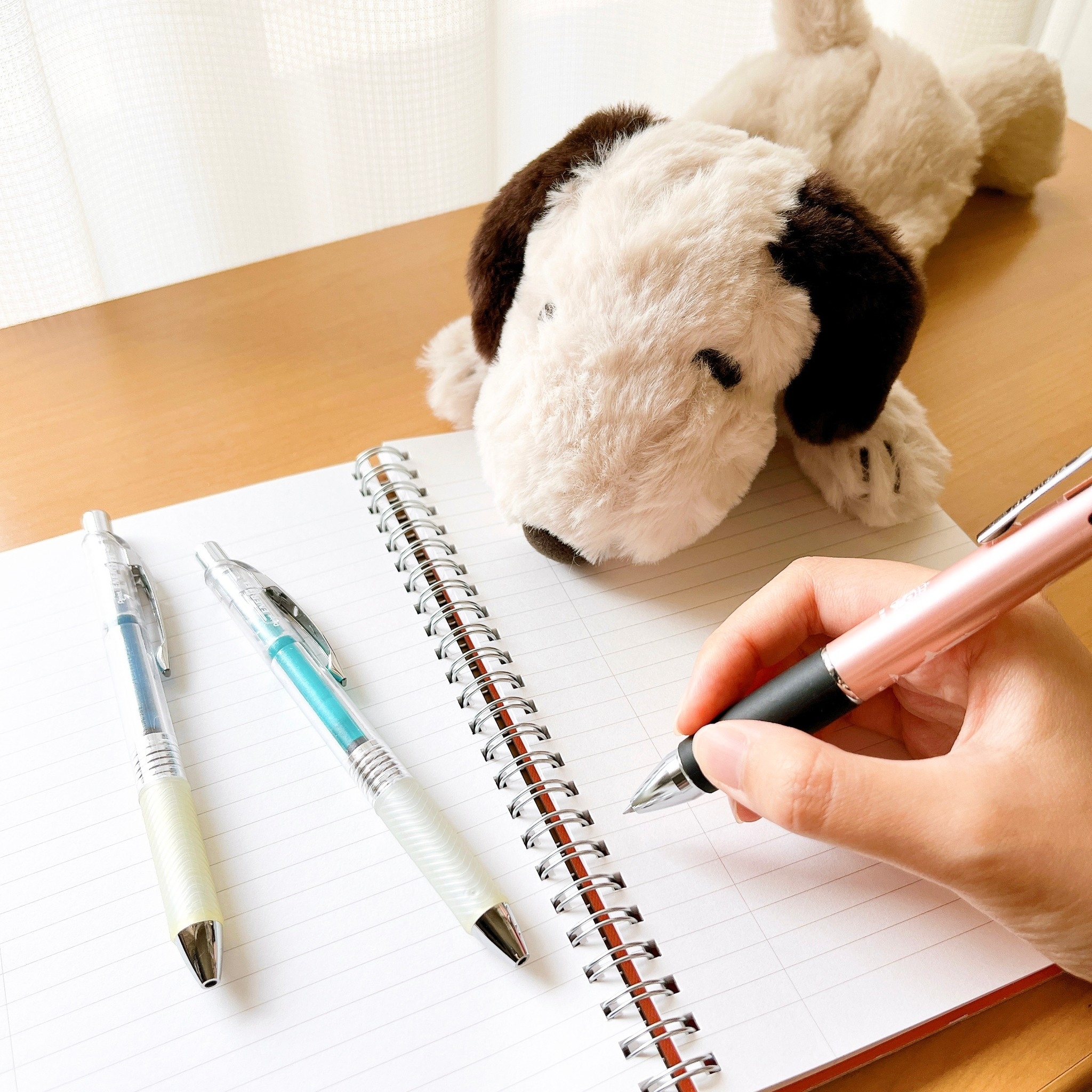 PLAZA（プラザ）のオススメのポーチ「スヌーピー PEANUTS ロングポーチ モカ」