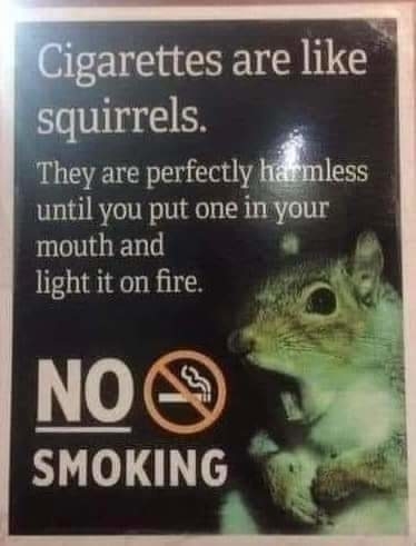 Sign with image of a squirrel that reads, &quot;Cigarettes are like squirrels, they are perfectly harmless until you put one in your mouth and light it on fire&quot; and &quot;No smoking&quot;
