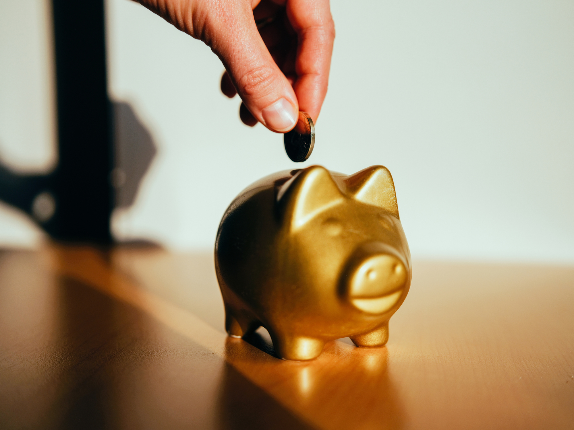 A person is putting a coin into a piggy bank