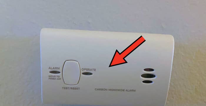 "this guy just squints at me suspiciously all day long"