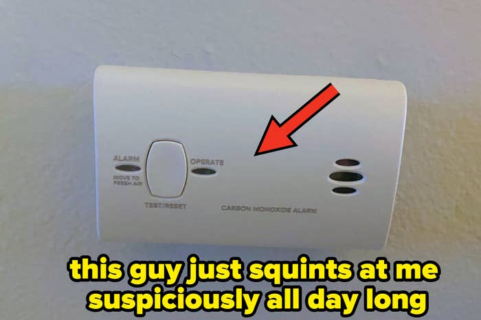 "this guy just squints at me suspiciously all day long"