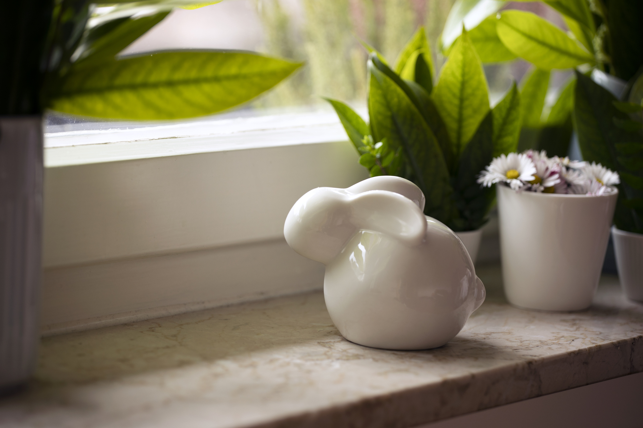 bunny decor on the windowsill with plants