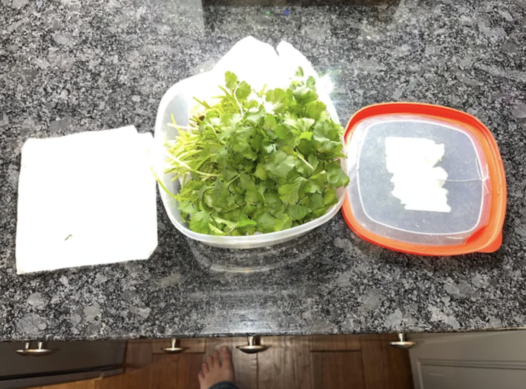 fresh cilantro