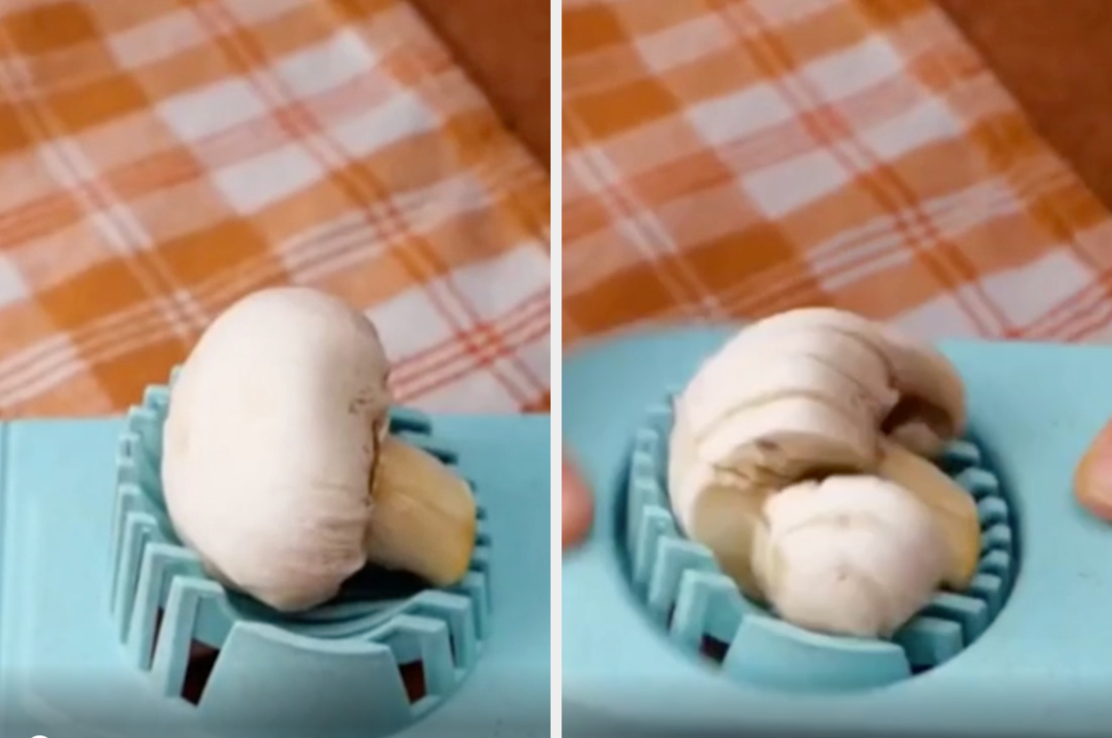 egg-sliced mushrooms