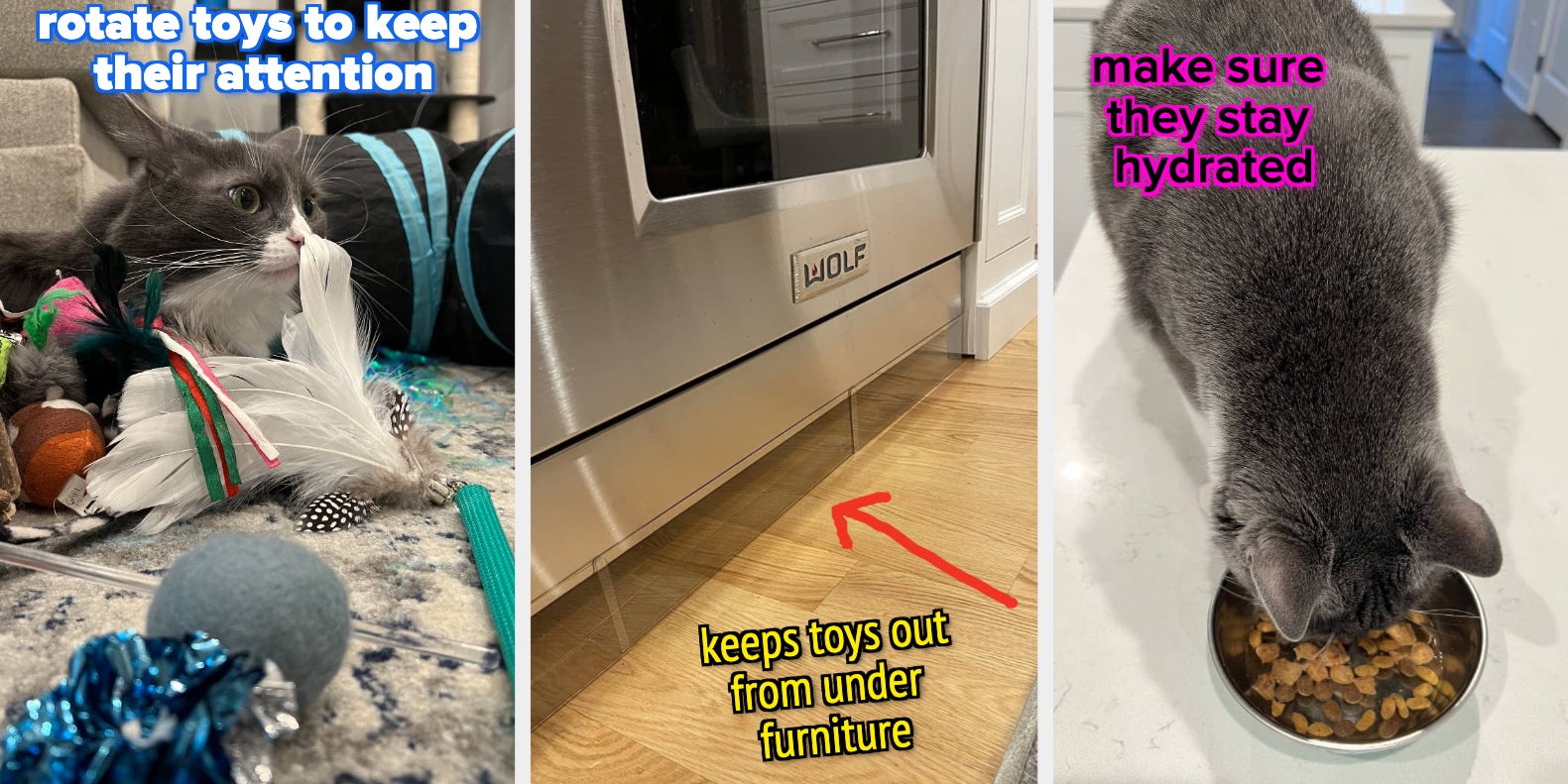 19 Tips Cat Owners Will Wish They'd Known About Sooner - Vimarsana News
