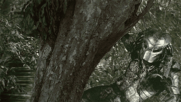 The Predator in a tree