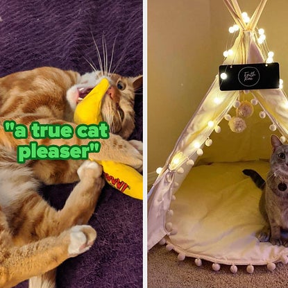 29 Things That'll Make Your Cat Think You're The ~Purrfect~ Pet Parent