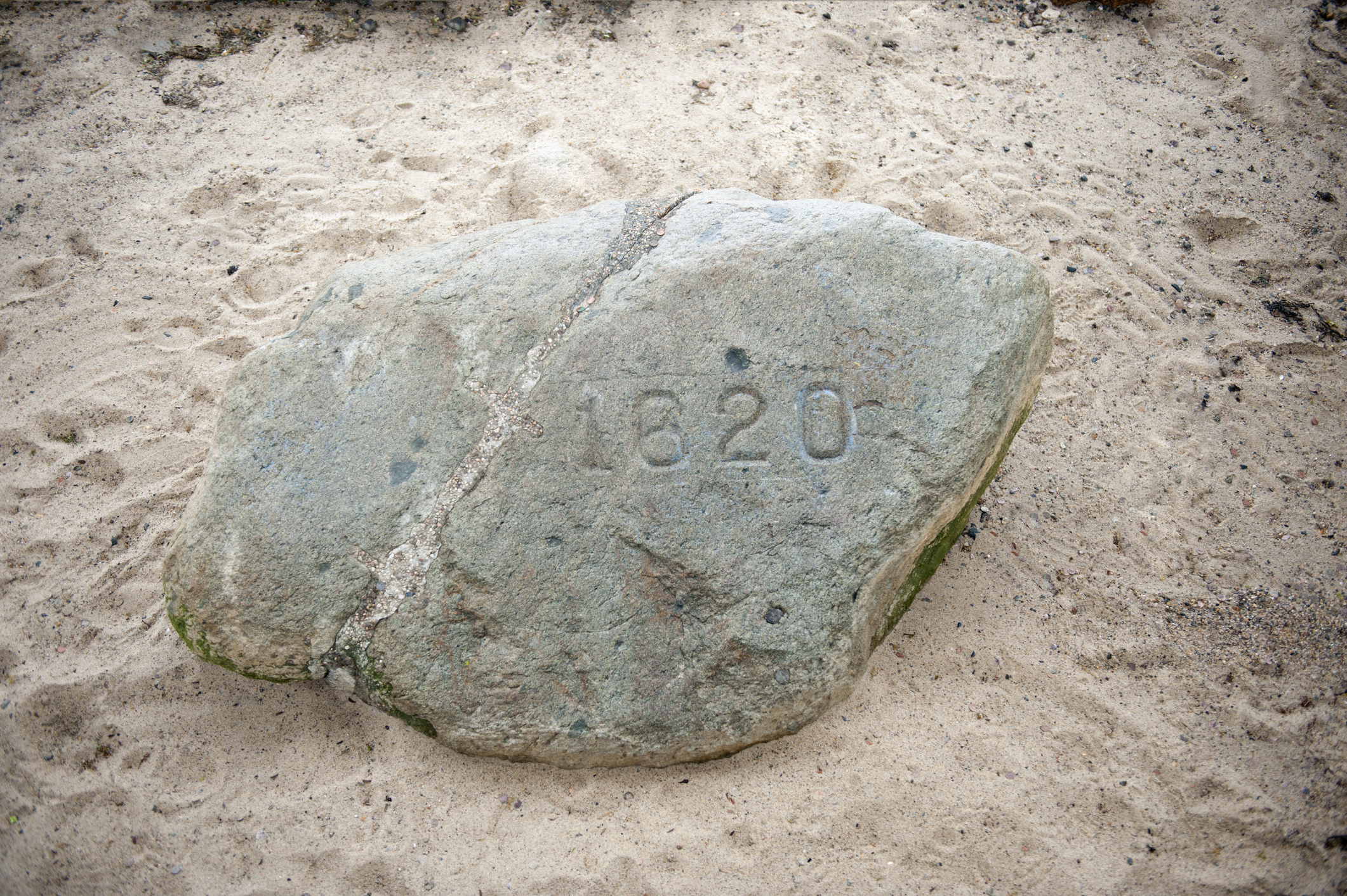 Plymouth Rock