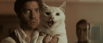 GIF of a cat hissing from "The Mummy"