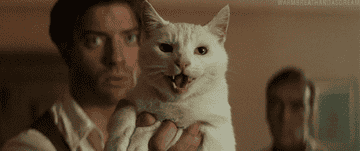 GIF of a cat hissing from &quot;The Mummy&quot;