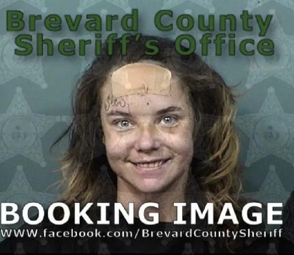 Florida Woman Arrested For Allegedly Stealing Mother’s Car, Running Her ...