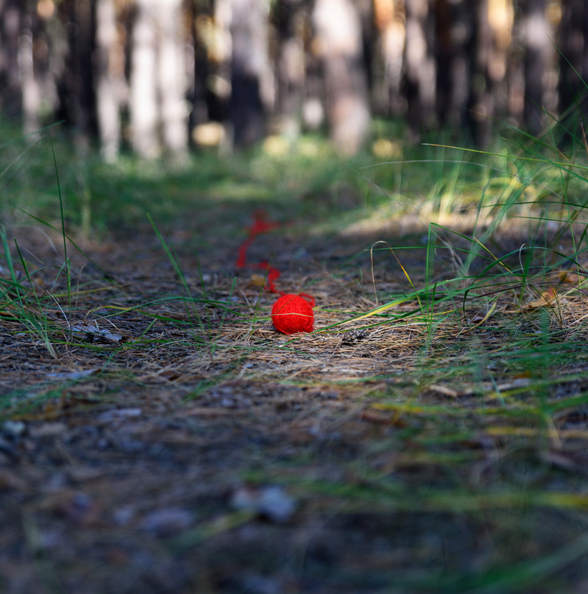 a red ball of string in the woods