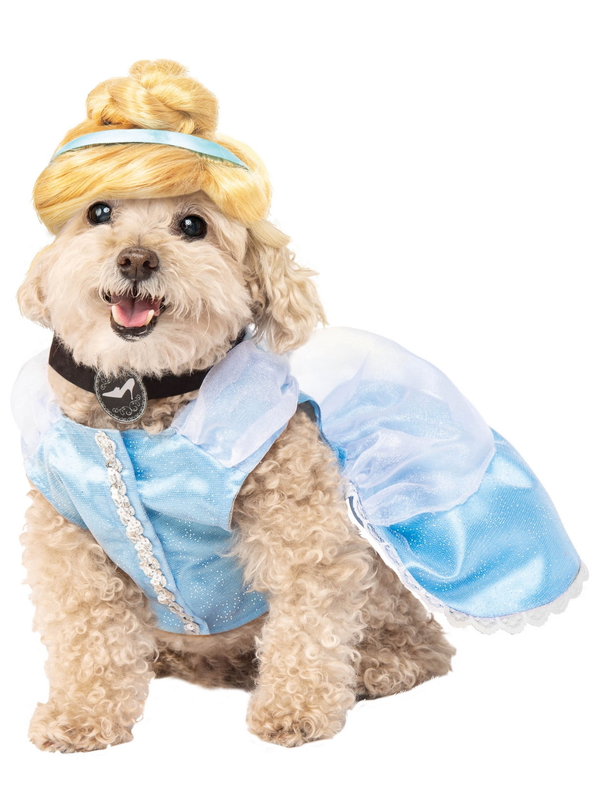 the dog dressed as cinderella