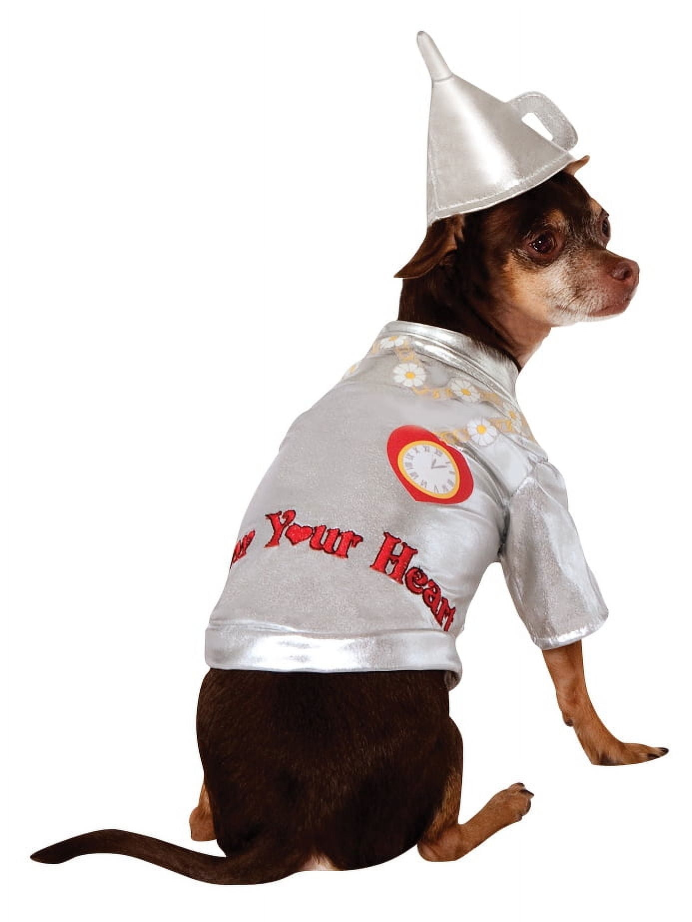 the dog dressed as the tin man