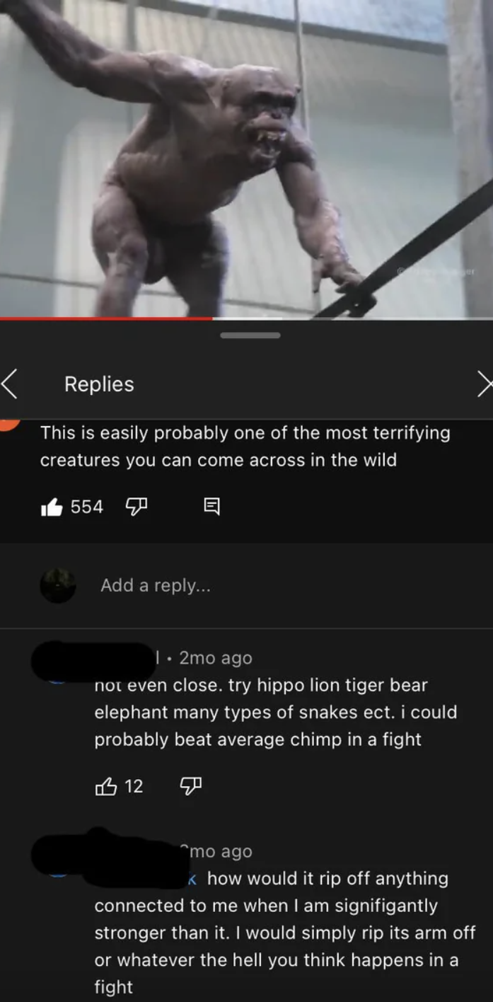 someone saying the chimpanzee isn't as scary as a lion, tiger, bear, or elephant