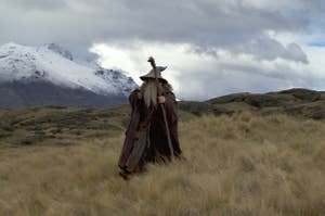 Gandolf walking through a field.
