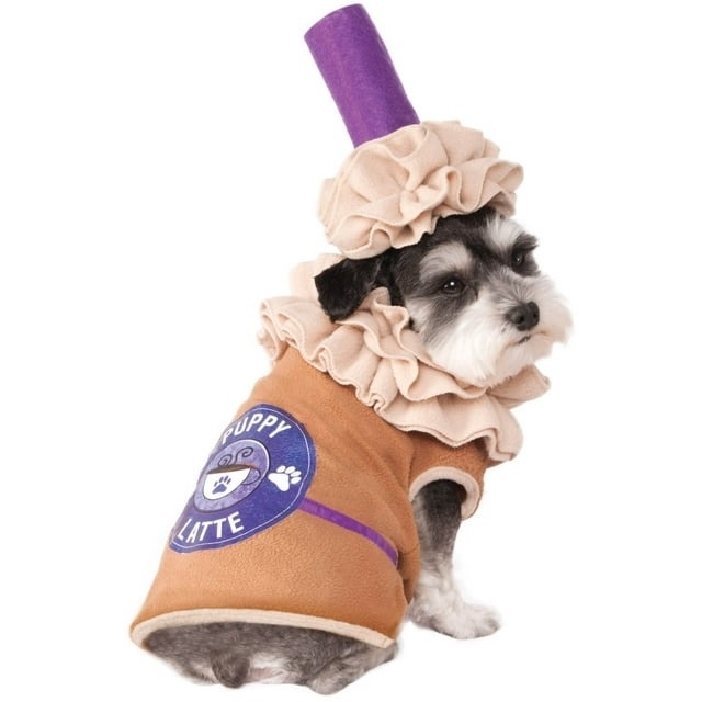 dog in latte costume