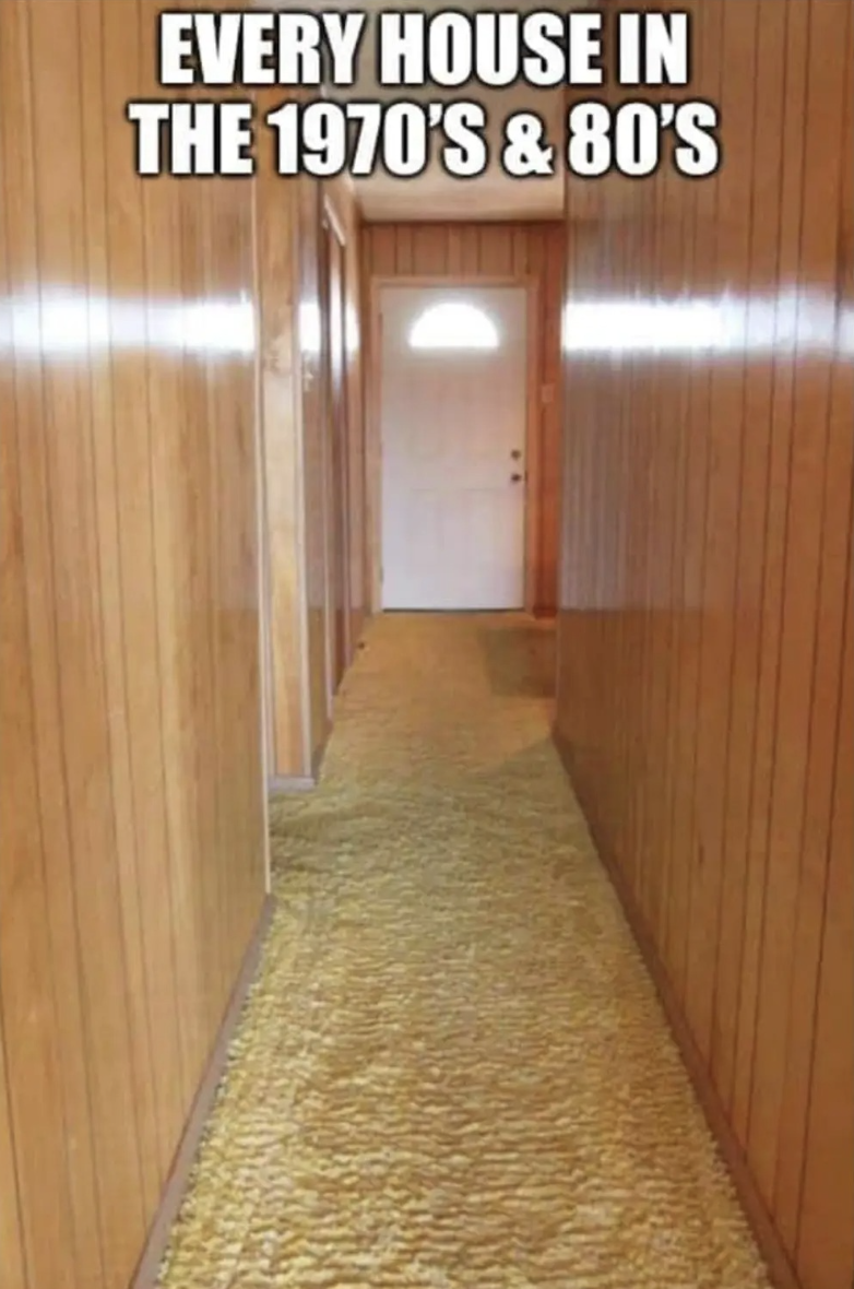 A carpeted, narrow hallway with wood-paneled walls