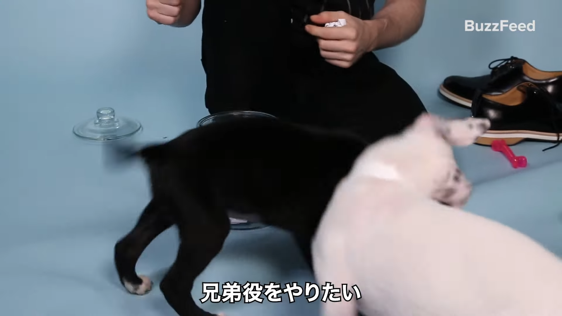 インタビューに答えるダニエル・ラドクリフ