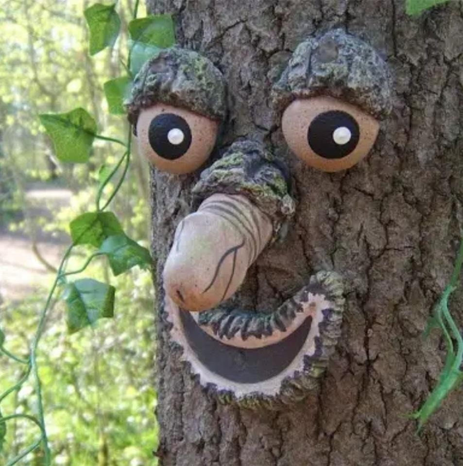 a tree with a face