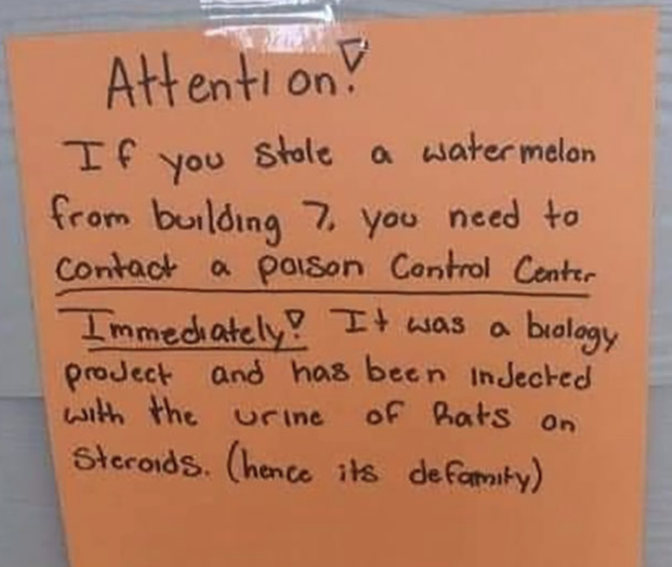 attention if you stole a watermelon from builidng 7 you need to control a poison control center immediately, it was a biology project and has been injected with urine of rats on steriods