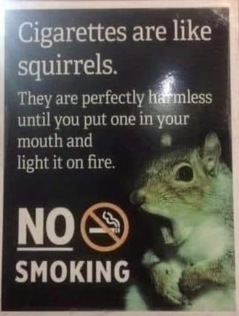 cigarettes are like squirrels, they are perfectly harmless unti you put one in your mouth and light it on fire