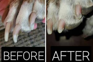 a before and after for a nail clipper