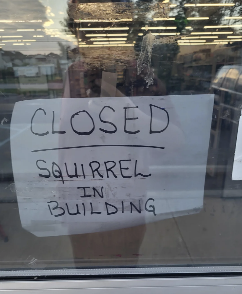 closed, squirrel in building