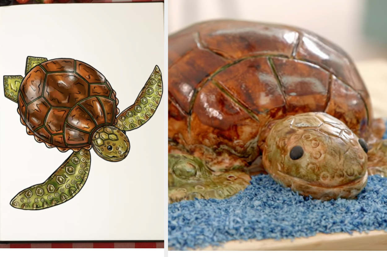 Drawing of a turtle cake side by side with the actual bake