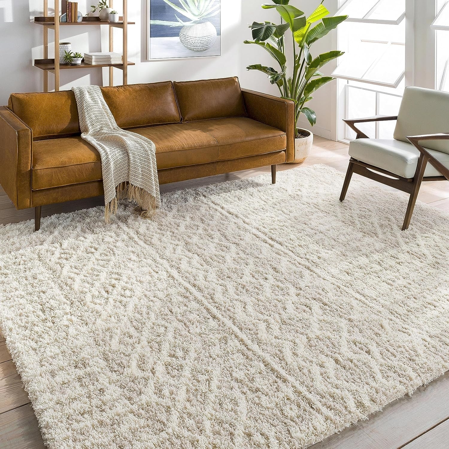 The area rug in a living room
