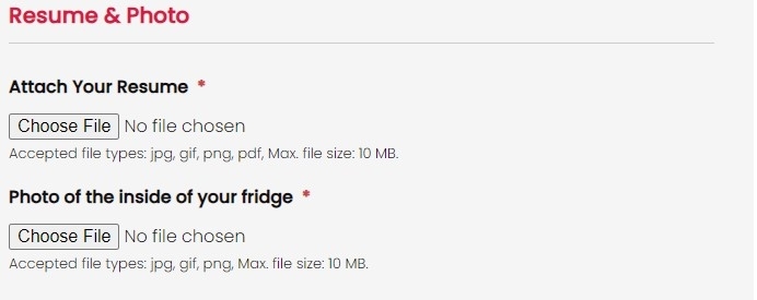 job application asking for résumé and photo of the inside of applicant's fridge