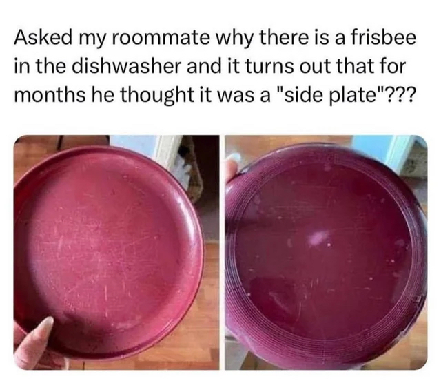 frisbee in the dishwasher